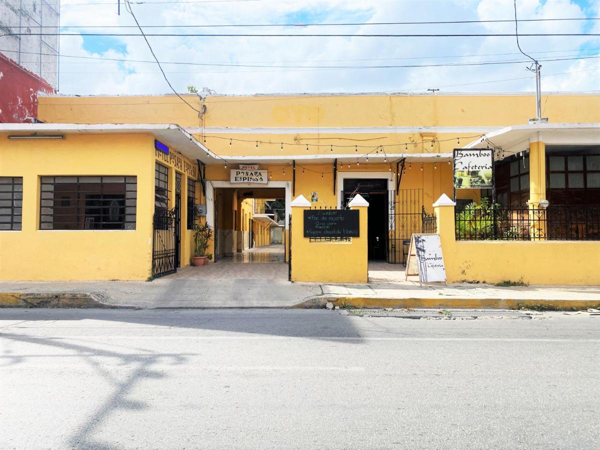 Oyo Posada Espinosa, Merida, Parque De Santa Ana Exteriér fotografie