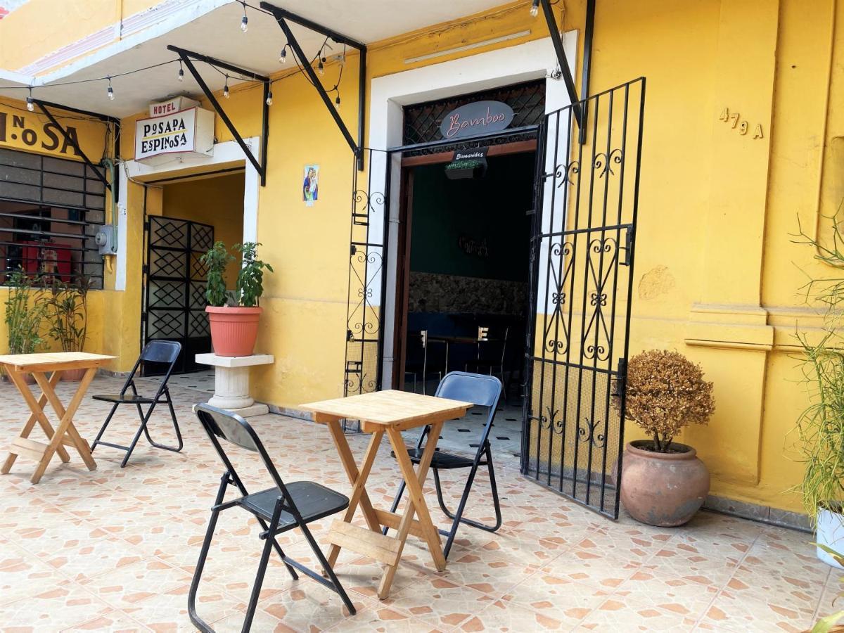 Oyo Posada Espinosa, Merida, Parque De Santa Ana Exteriér fotografie
